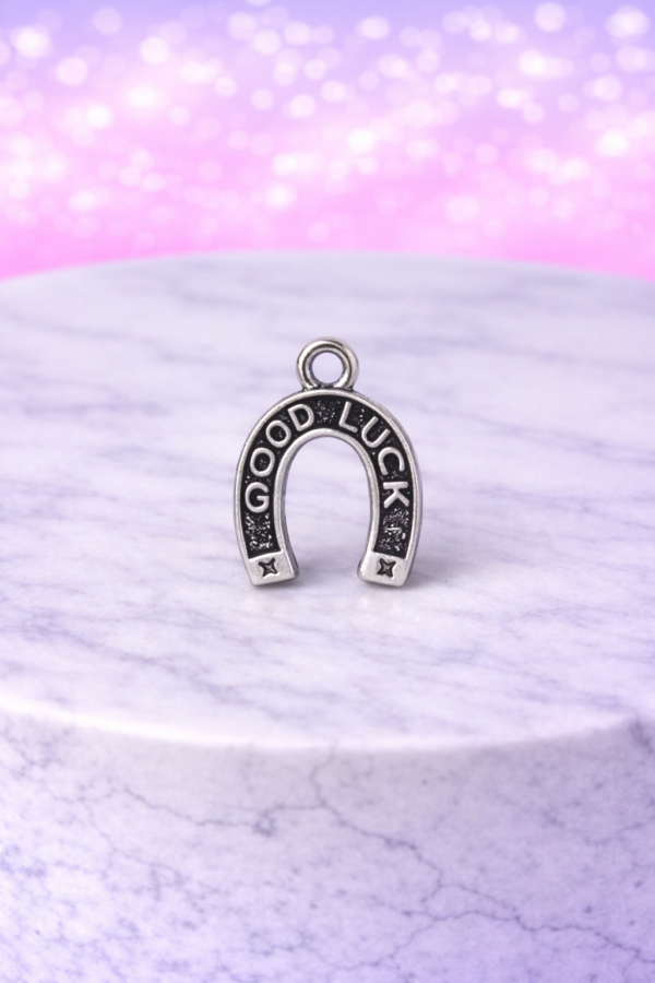 4da2ed8b-4295-4a87-88e8-13240a90f9e8-2 Charms Fer à Cheval Good Luck Argenté & Doré – Porte-Bonheur