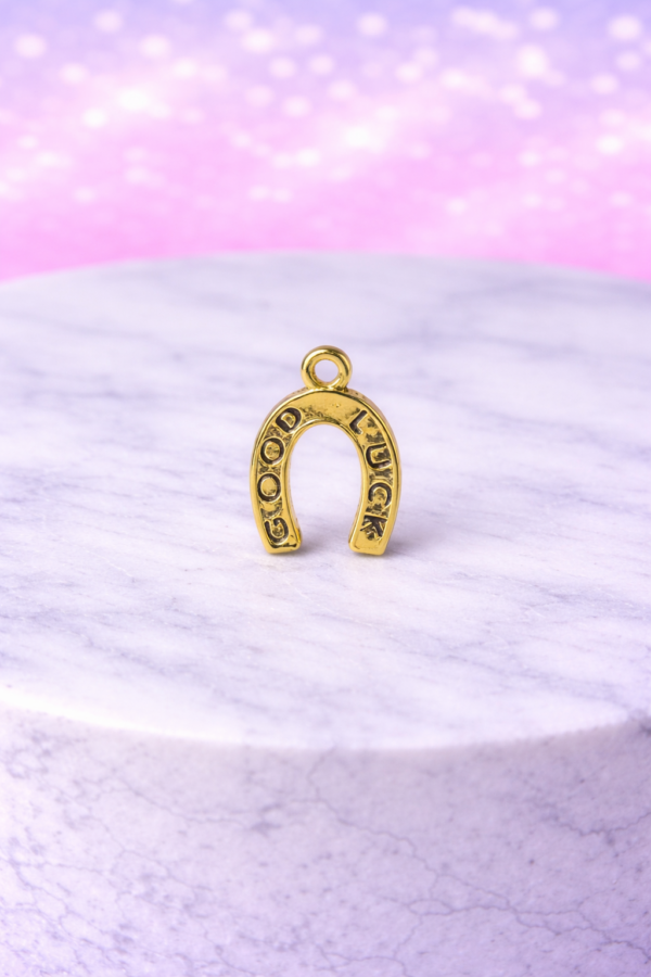 7e3c04fe-4eed-4141-a9ff-3073a18b5144-2 Charms Fer à Cheval Good Luck Argenté & Doré – Porte-Bonheur