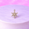 Charms Étoile Flocon Cristalline – Éclat Polaire & Lumière Festive